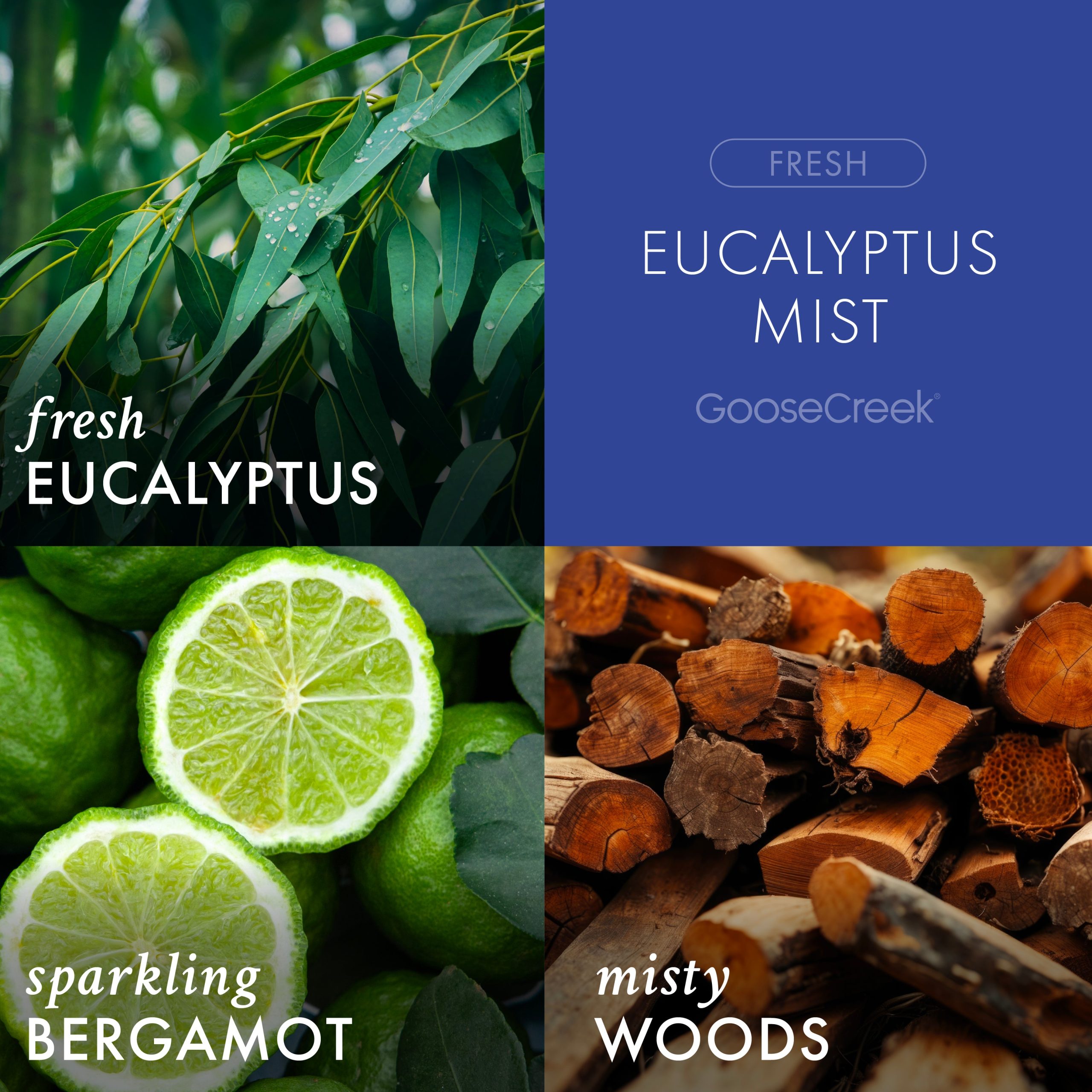 Eucalyptus Mist Odor Eliminating 3-Wick Candle - Image 2