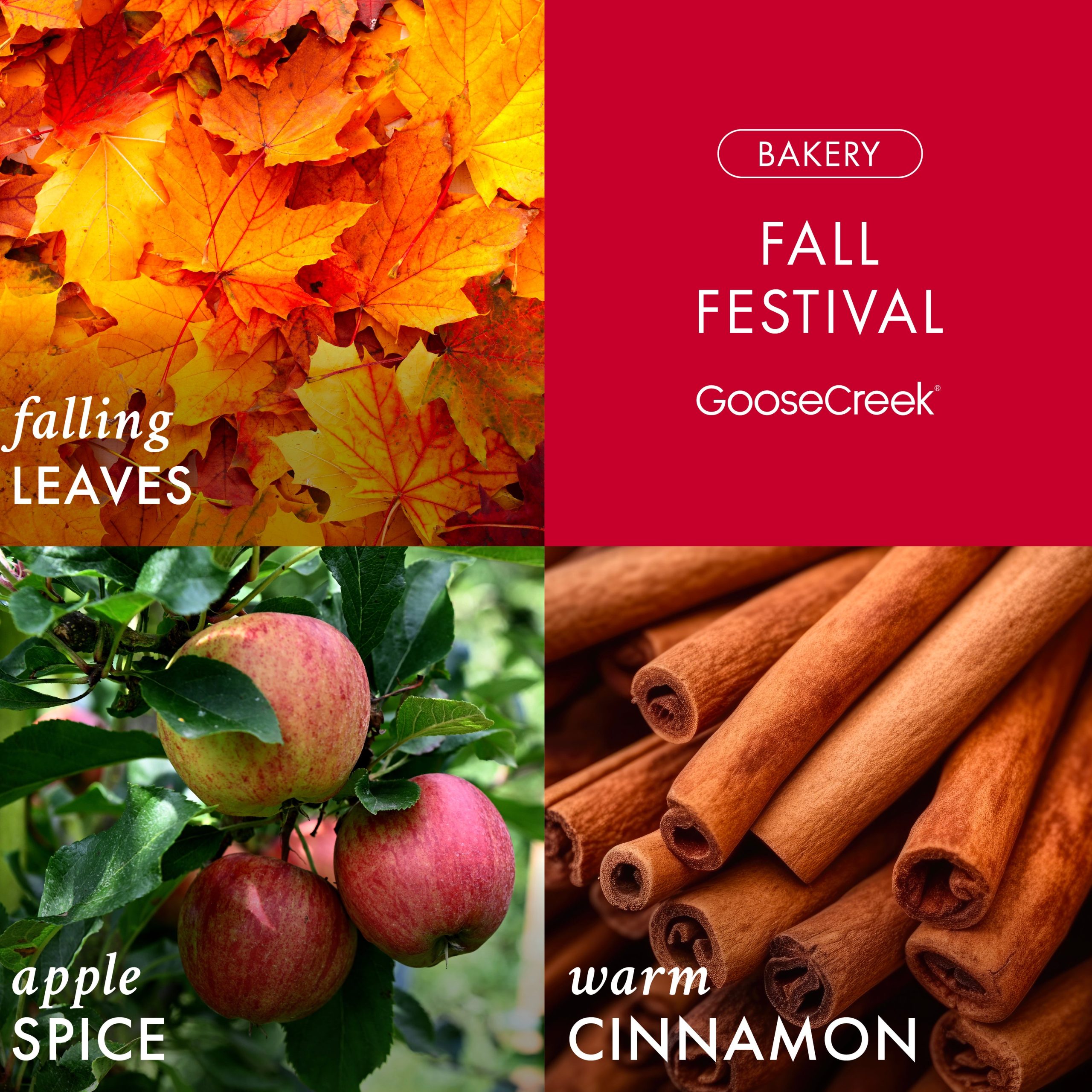 Fall Festival 3-Wick Candle - Image 2